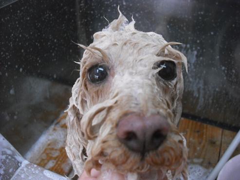 ファイル 681-2.jpg