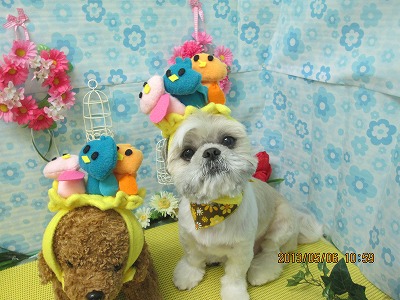 ファイル 6810-1.jpg