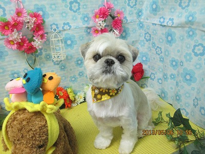 ファイル 6810-2.jpg