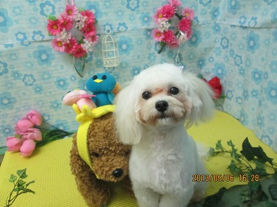 ファイル 6811-2.jpg