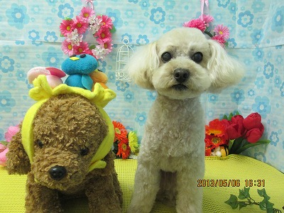 ファイル 6812-2.jpg