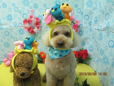 ファイル 6813-1.jpg