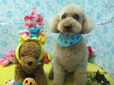 ファイル 6813-2.jpg