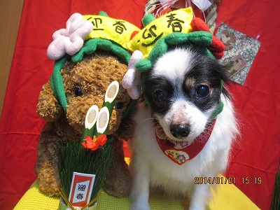 ファイル 6815-1.jpg