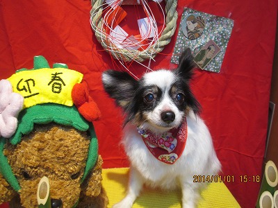 ファイル 6815-2.jpg