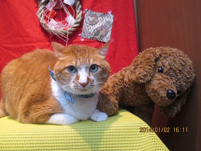 ファイル 6816-2.jpg