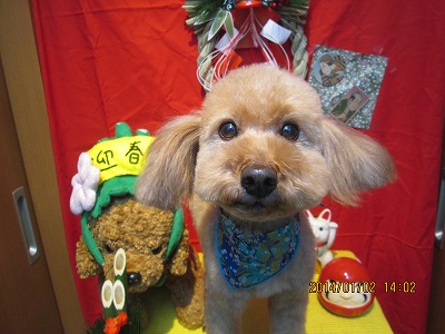 ファイル 6819-2.jpg