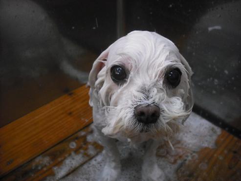 ファイル 682-2.jpg