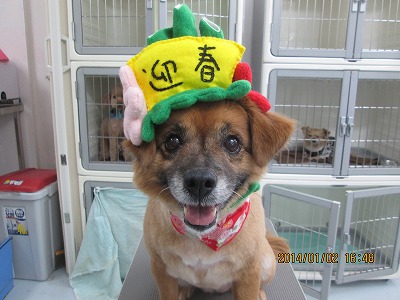 ファイル 6820-1.jpg