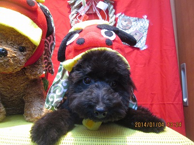 ファイル 6821-1.jpg