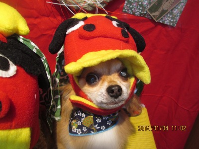 ファイル 6822-1.jpg