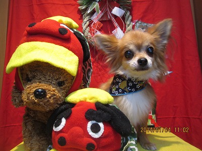 ファイル 6822-2.jpg