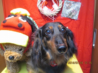 ファイル 6824-2.jpg