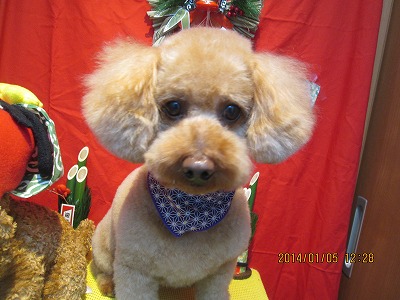 ファイル 6825-1.jpg