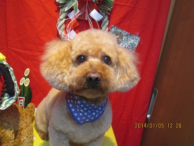 ファイル 6825-2.jpg