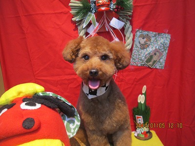 ファイル 6826-1.jpg