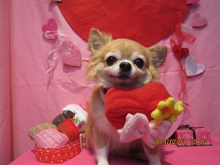 ファイル 6827-2.jpg