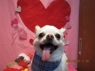 ファイル 6829-1.jpg