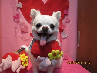 ファイル 6829-2.jpg