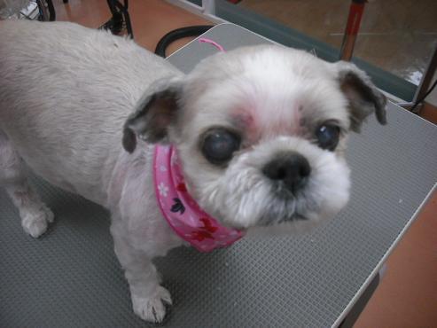 ファイル 683-1.jpg