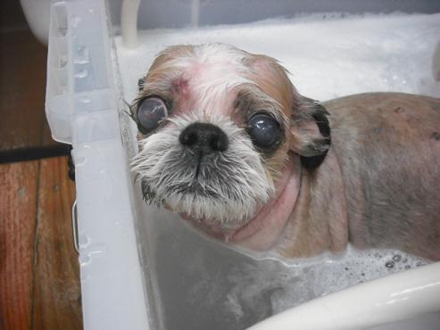 ファイル 683-2.jpg