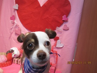 ファイル 6830-2.jpg