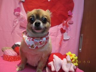 ファイル 6831-2.jpg