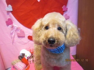 ファイル 6832-2.jpg