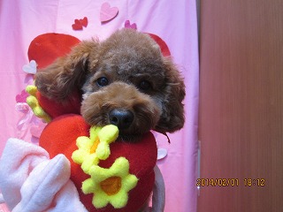 ファイル 6833-2.jpg