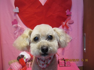 ファイル 6834-2.jpg