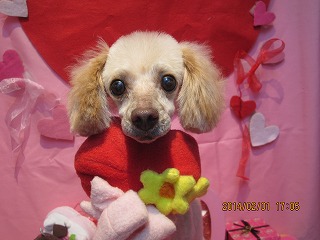 ファイル 6835-1.jpg