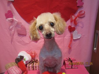 ファイル 6835-2.jpg