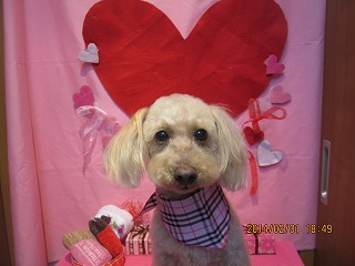 ファイル 6836-2.jpg