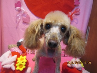 ファイル 6837-2.jpg