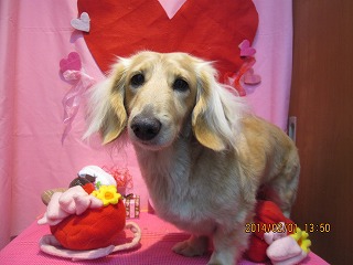 ファイル 6838-1.jpg