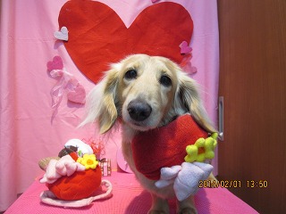 ファイル 6838-2.jpg