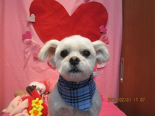 ファイル 6839-2.jpg