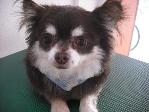 ファイル 684-1.jpg