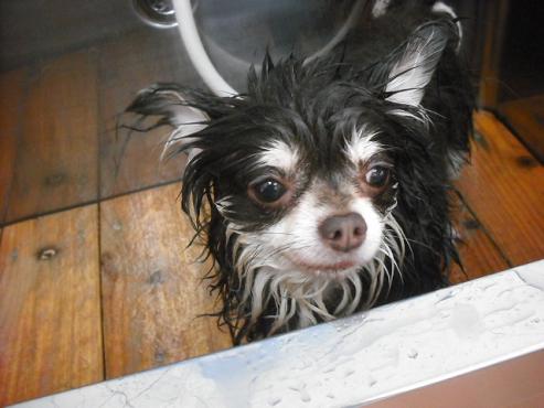 ファイル 684-2.jpg