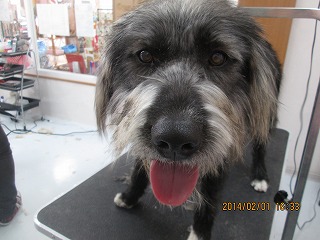 ファイル 6840-2.jpg