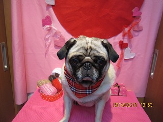 ファイル 6841-2.jpg