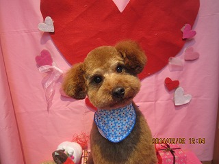 ファイル 6842-2.jpg