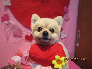 ファイル 6843-1.jpg