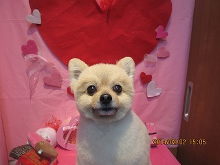 ファイル 6843-2.jpg