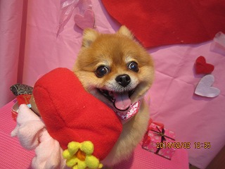 ファイル 6844-1.jpg