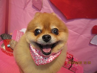 ファイル 6844-2.jpg