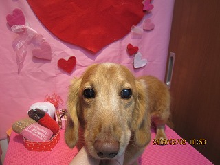 ファイル 6846-1.jpg