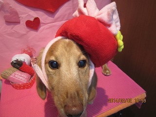 ファイル 6846-2.jpg