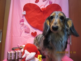 ファイル 6847-2.jpg