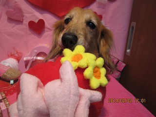 ファイル 6848-1.jpg